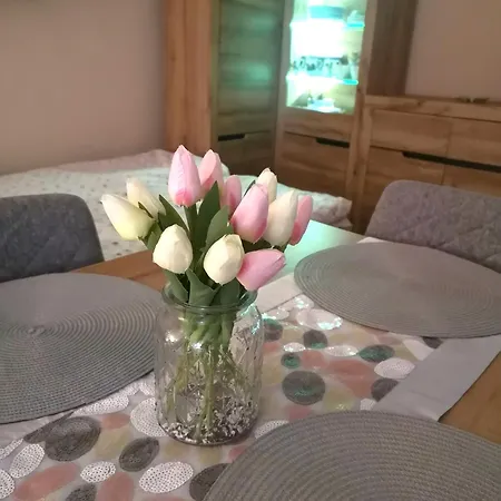 Przytulne M1 U Podnoza Gor Apartment *